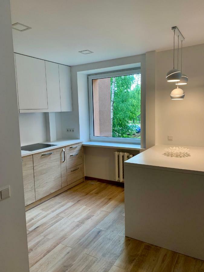 Alytus Apartament エクステリア 写真